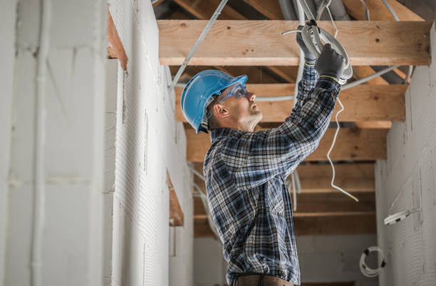 Best Electric Panel Repair  in Warner Robins, GA