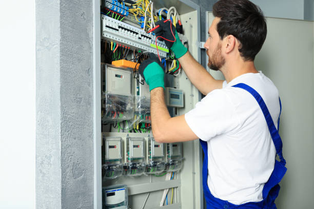 Best Electric Panel Repair  in Warner Robins, GA